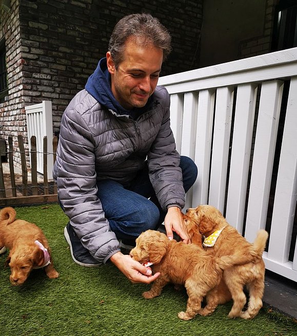 Ein Mann hockt auf einem Rasen am Boden. Vor ihm sind mehrere kleine Hunde, die auf ihn zukommen.